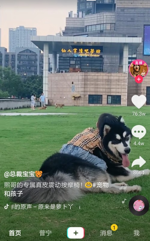 在抖音之前，手机号码没有使用，也没有收到验证码，如何解绑手机号码，然后换另一个号码?