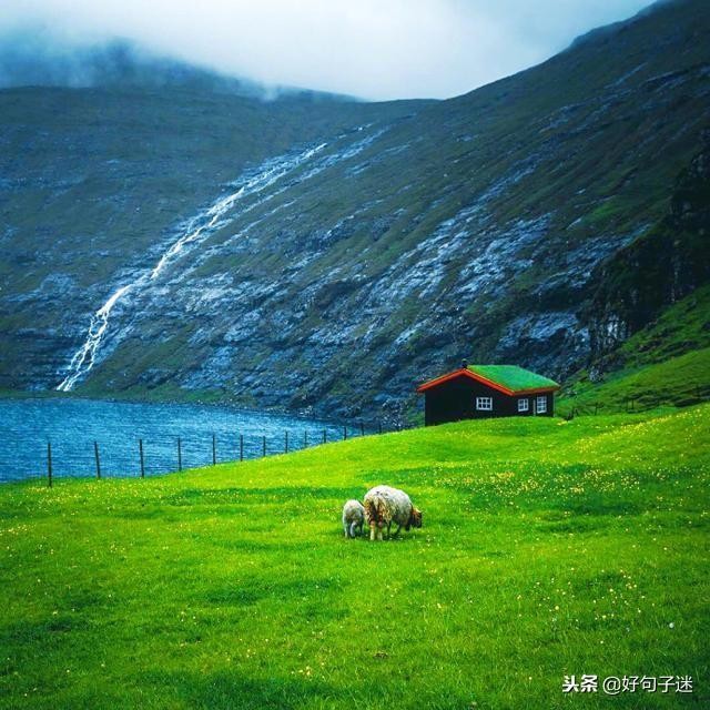 最近微信很火的爱情说说很潮很精辟看了都赞不绝口!